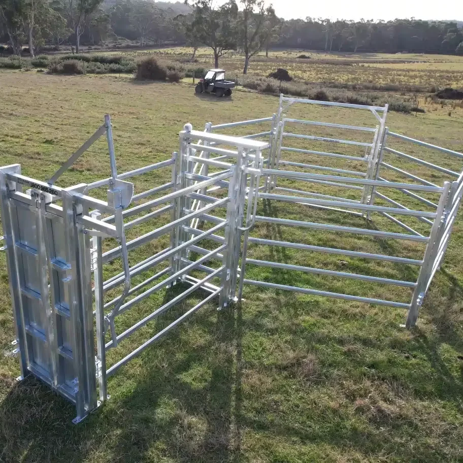 2400 head cattle yard hot dip galvanized 1.8H x 2.1L Cattle Panel And Cattle Yard Design