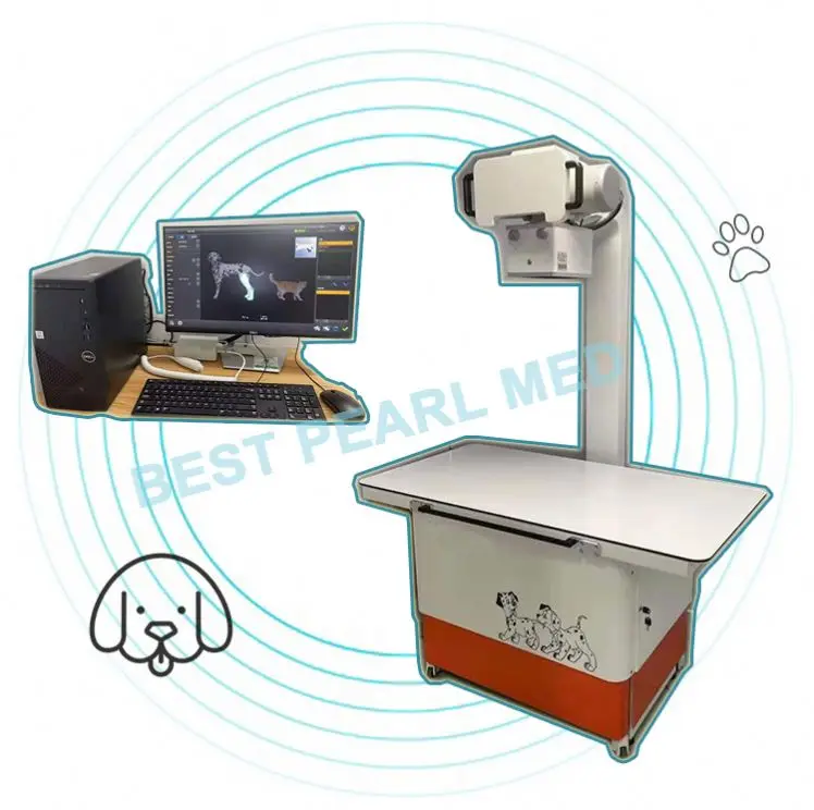Professional Manufacturer Low Price Vet X Ray Machine Price