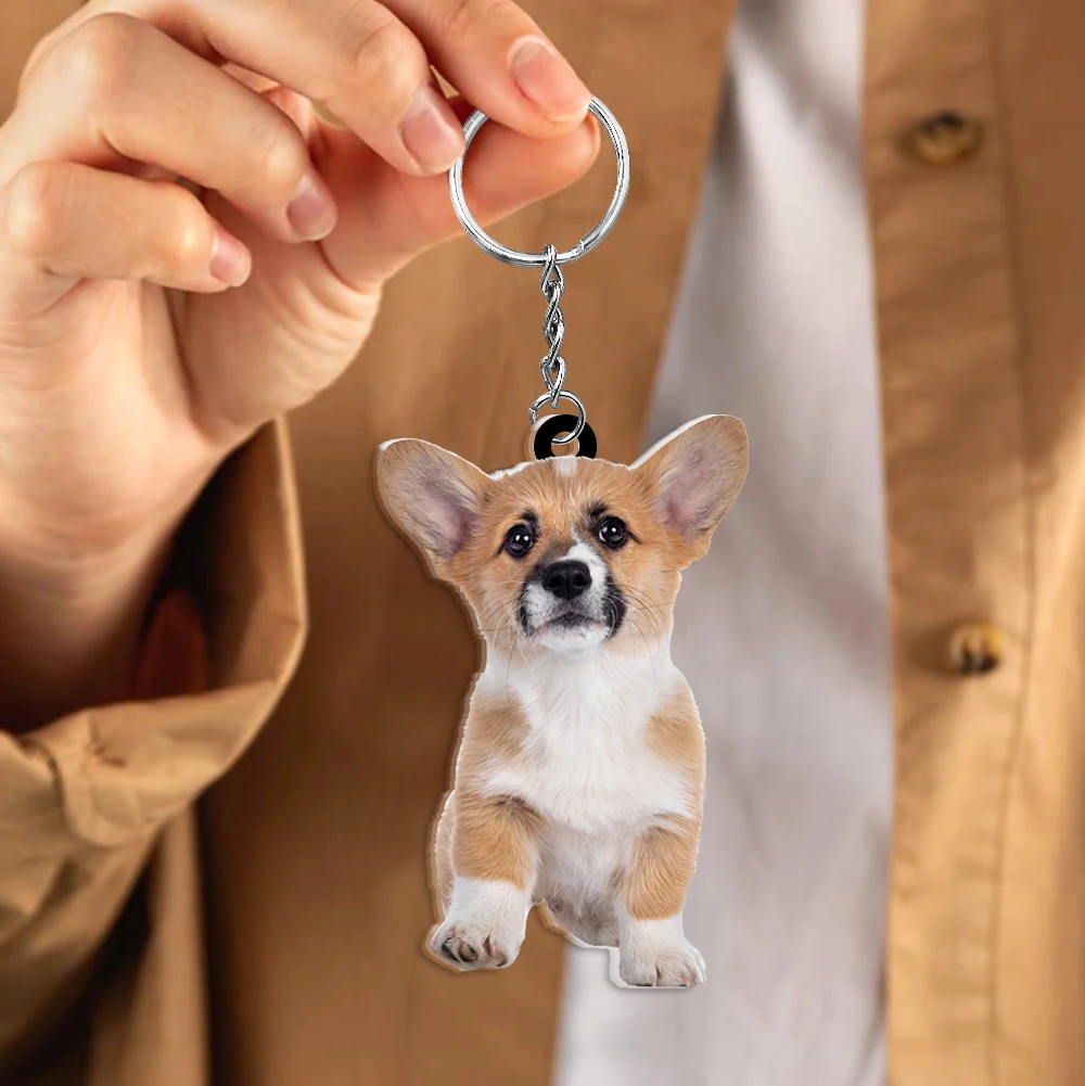 Customized Keychain with Photos Customizable Dog Memorial Cat Memorial Keychain Gift for Pet-loving People personalized Key Ring