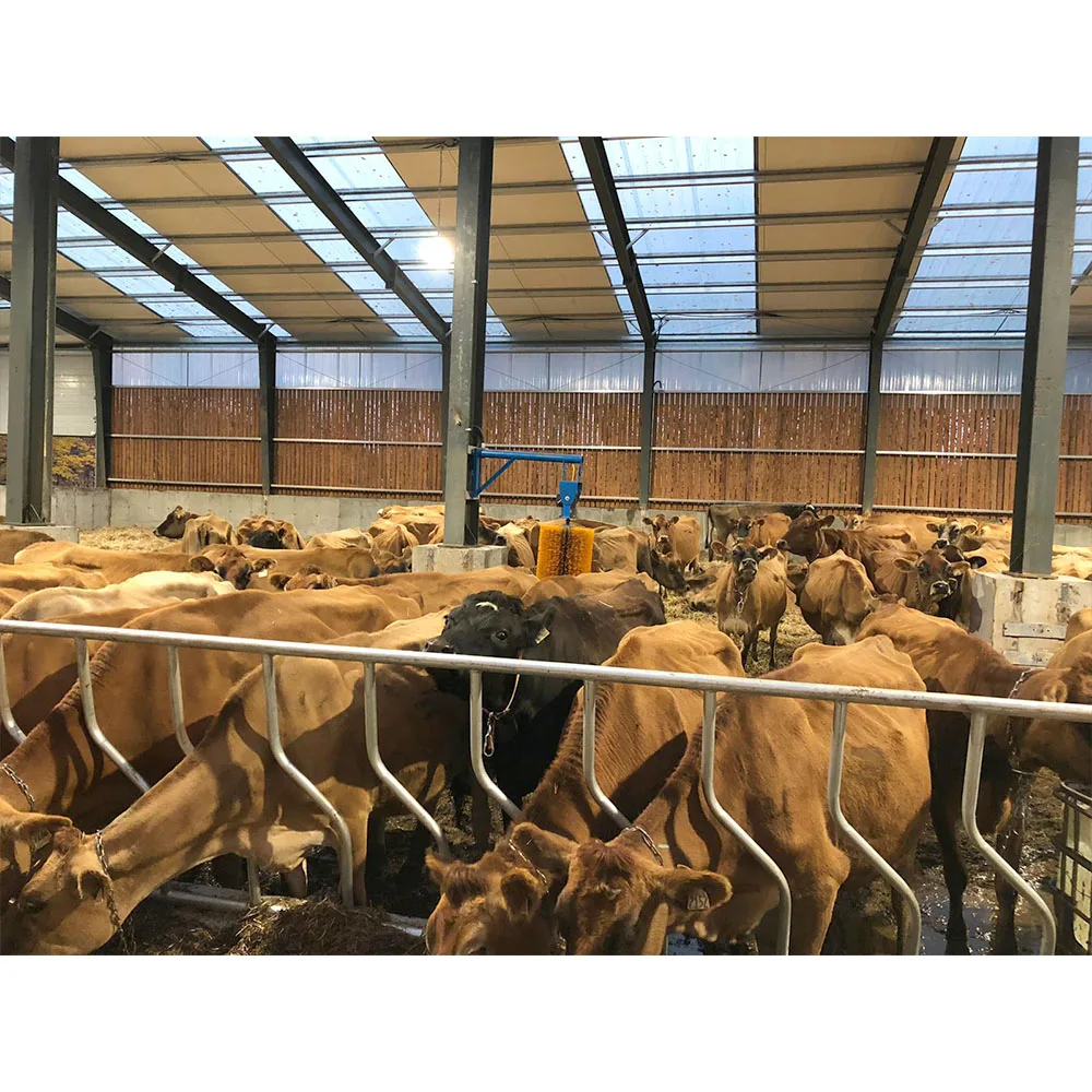 factory price steel structure chicken home poultry house cow farm building