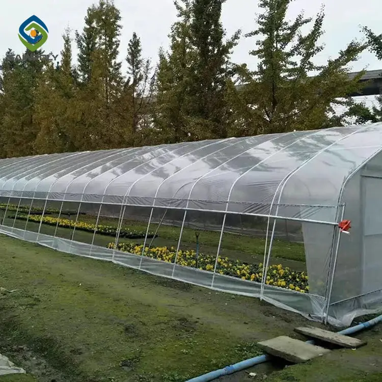 Low tunnel greenhouse plastic film agricultural house