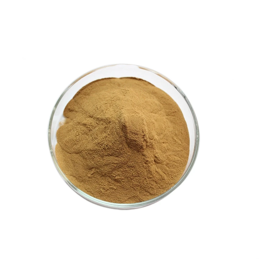 Hot Selling Health Supplement Plant Stinging Nettle Root Extract Powder