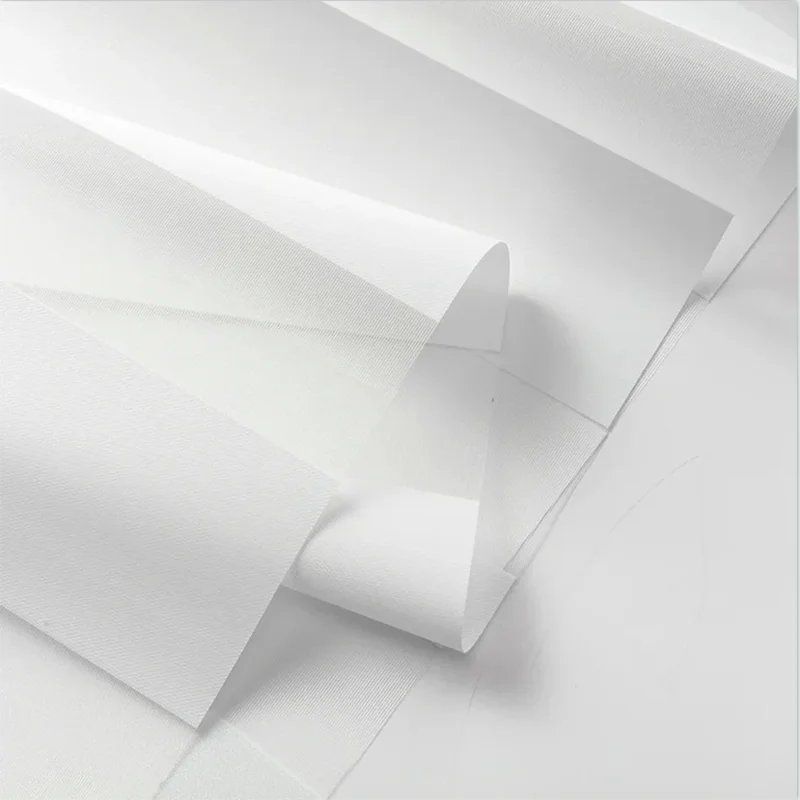 Motorized zebra roller shade electric remote control smart living room curtains day and night zebra blinds for windows