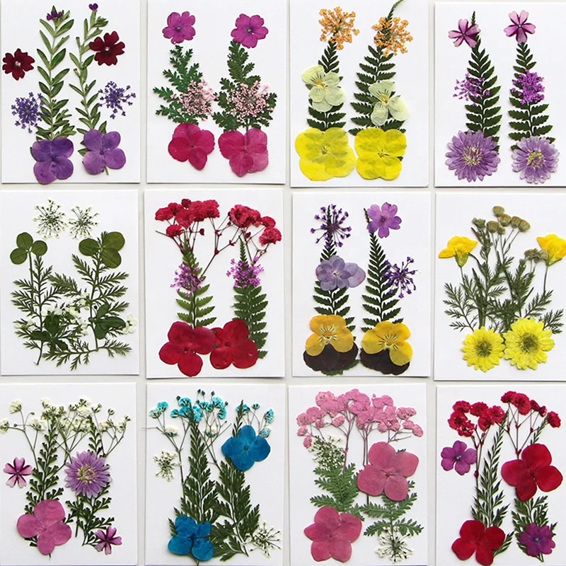 8pcs/pack DIY Craft Face Decoration of Wedding Candle Resin Epoxy Material Pressed Flower Combination