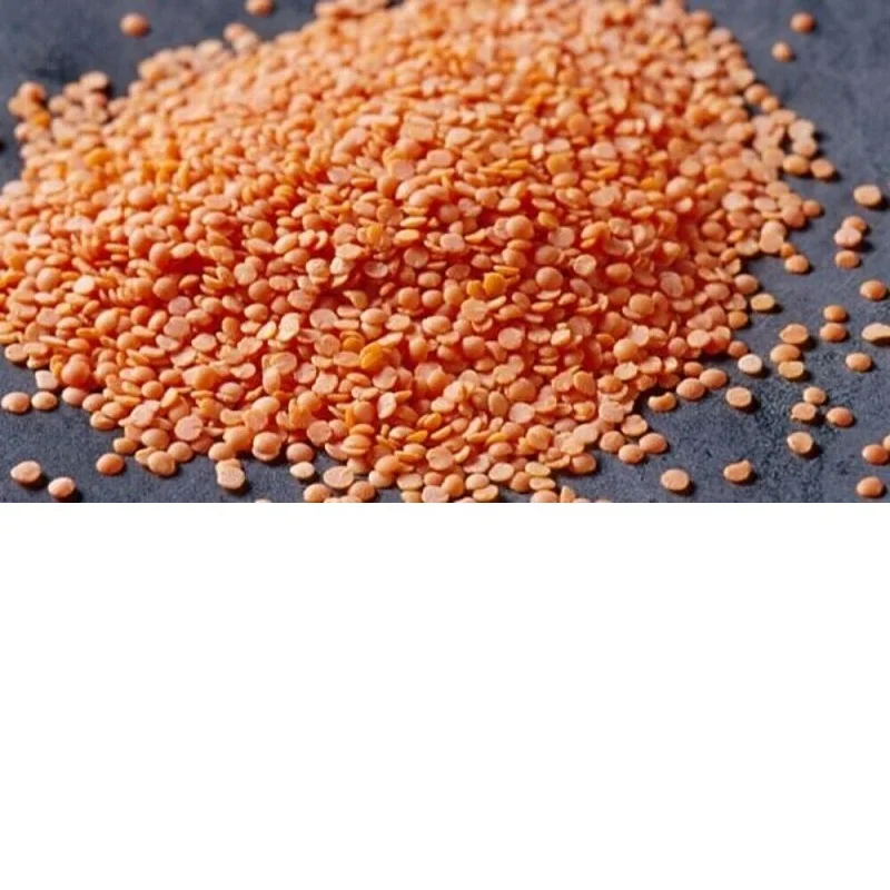 LENTILS-RED-22lb.jpg