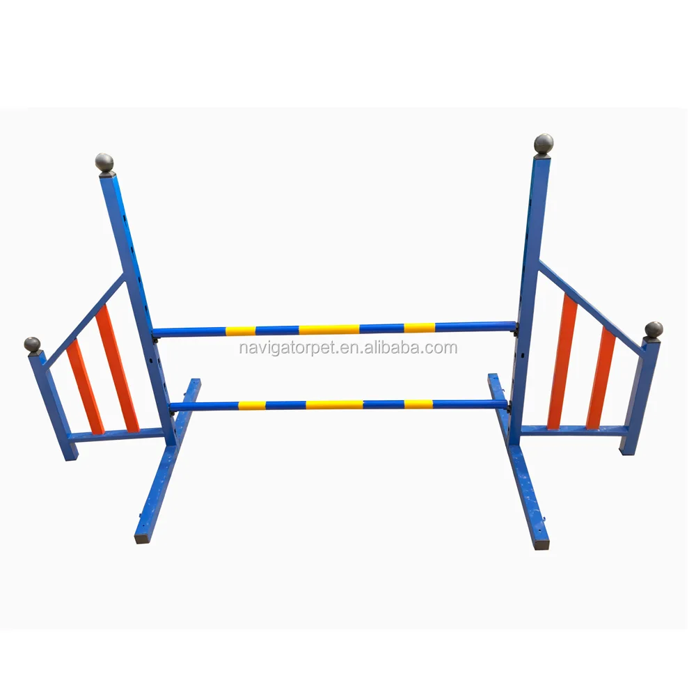 Training Hurdle For Dog