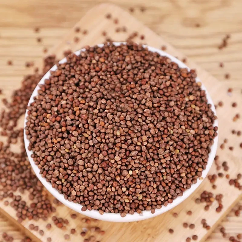 Bulk Supply 100% Pure Natural Chinese Perilla Seed