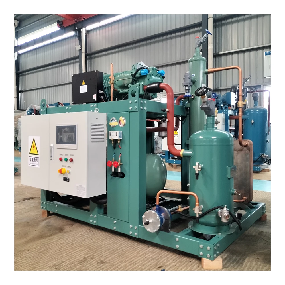 Manufacture sale Cold Storage Outdoor Freezer Unit 4 parallel Refrigeration Screw Compressor Condensing Unit Refrigeration Unit