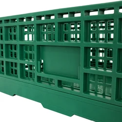 Пластиковый поднос для куриных яиц, 60 яиц