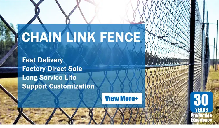 Chain Link Fence (1)