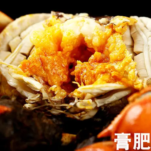 Live Fresh Water Crab export to Dubai, Hongkong,Siingapore, Korea and Japan.