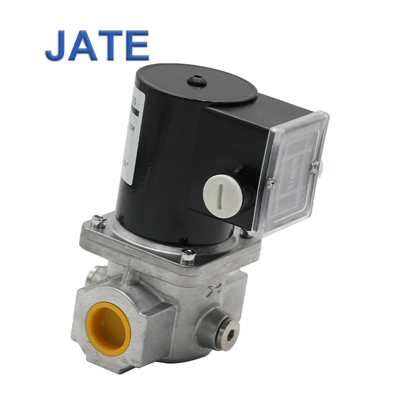JATE TE4020 Solenoid Control Valves The Electromagnetic Valve for Gas Burner Parts Black Normal Temperature General 220V/110V AC