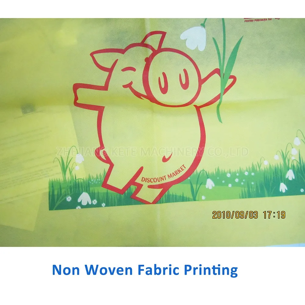 High Speed Flexographic Printing Machine China Flexo PP Non Woven Fabric Printing Machine Ci Flexo Printing Machine Manufacturer