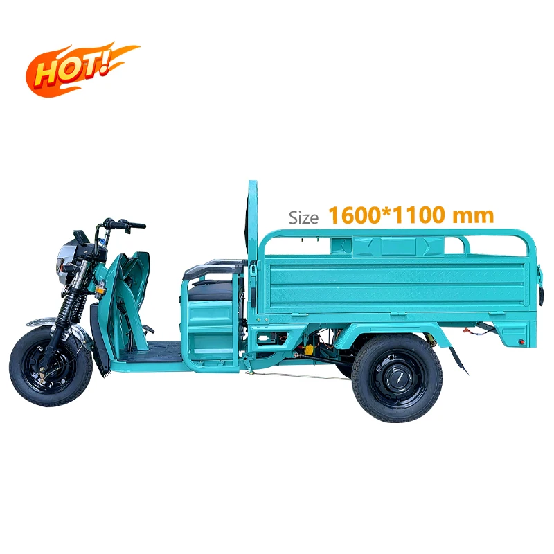 Heavy Carry Load 3 Wheel Electric Farmer Use Tricycle for Countryside Tricycle Agricultural Vehicles