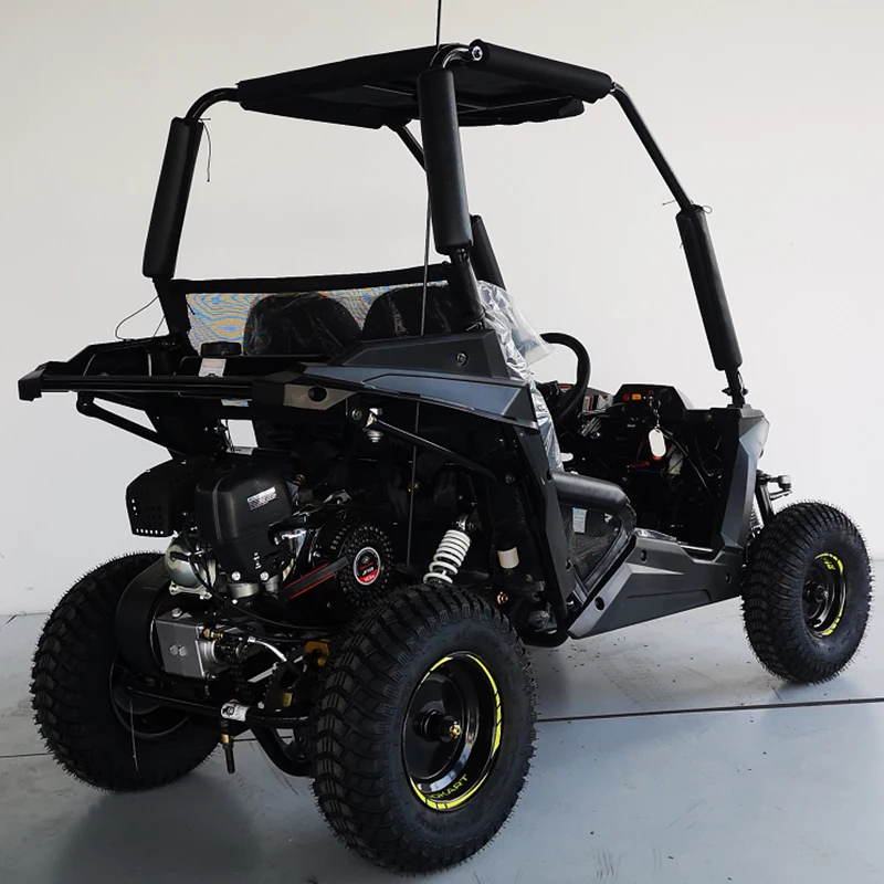 48V 1000W brushless shaft driving buggy