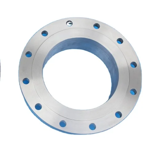 Backing ring special type for HDPE pipe connection DIN standard customization support carbon steel Forging flange