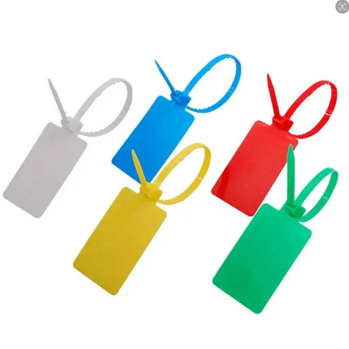 Customized High Quality Plastic Car Key Tag logo Printing for Promotion Business Gift Key Chain