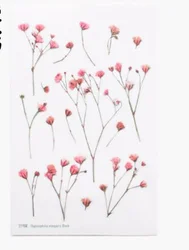 Korean stationery creative simulation flower transparent PVC sticker flower plant diary hand account decorative sticker
