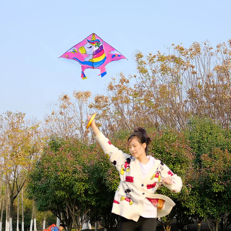 
China Factory Promotional Sturdy Flat Unicorn kites 