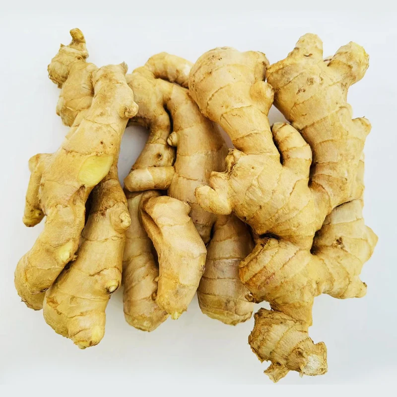 Competitive Price Nuisanceless Fresh Ginger Root Wholesale At Competitive Market Prices