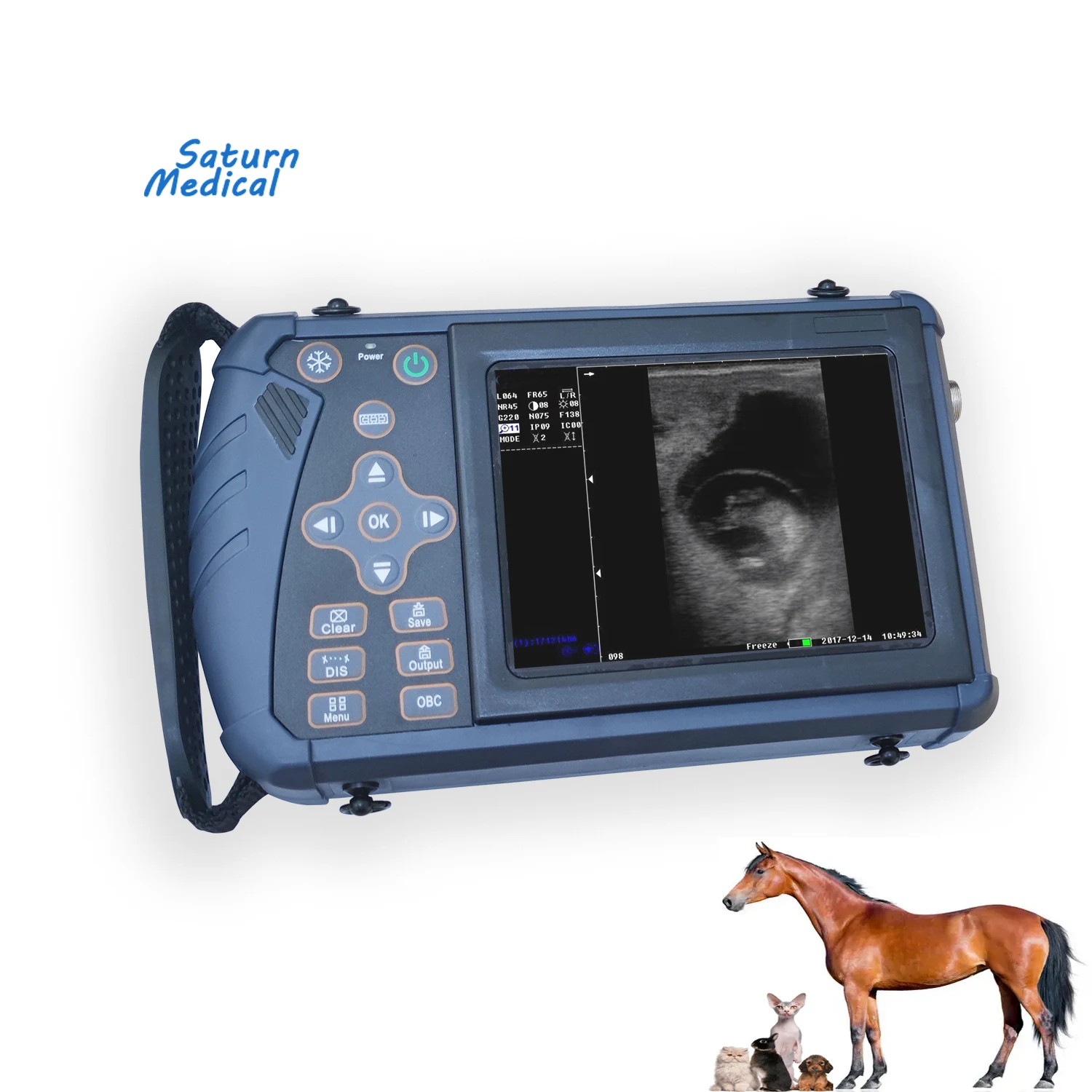 pet animal vet Veterinary Ultrasound Machine with CE ISO for dog cat horse pig