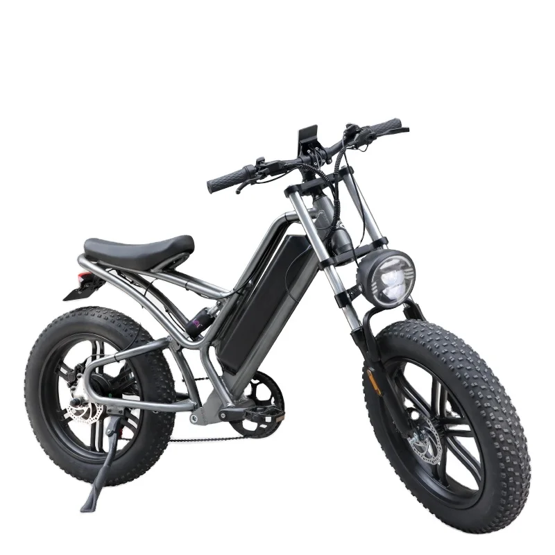 20 Inch Fat Tire All Terrain MTB 750W Electric Bike for outdoor
