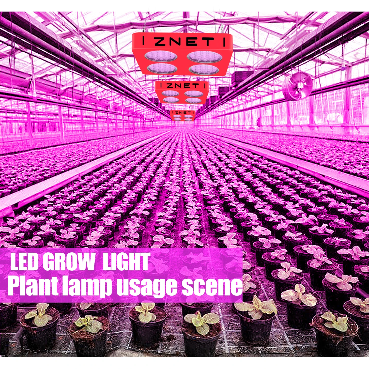 
ZNET4 100W Full Spectrum Indoor LED Pflanzenlampe LED Grow Lampe Light for Plants Blooming 