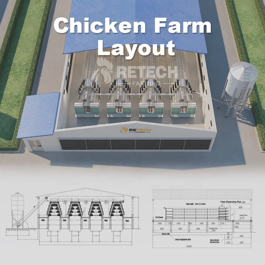 Hot sale layers poultry chicken feeding cages system poultry equipment