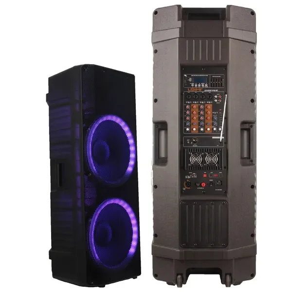 Double 15inch Rechargeable Battery Speaker RGB Lighting Plastic Active Wireless Microphones