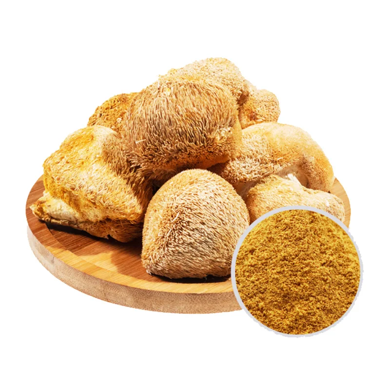 High Quality Pure Nautral Hericium Erinaceus lions Mane Mushroom Dried Hericium Erinaceus Mushroom Extract