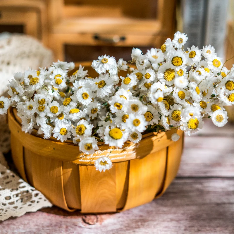 2022 новые стильные маленькие маргаритки сохраненные цветы соломенные хризантемы Натуральные Сушеные украшение для дома