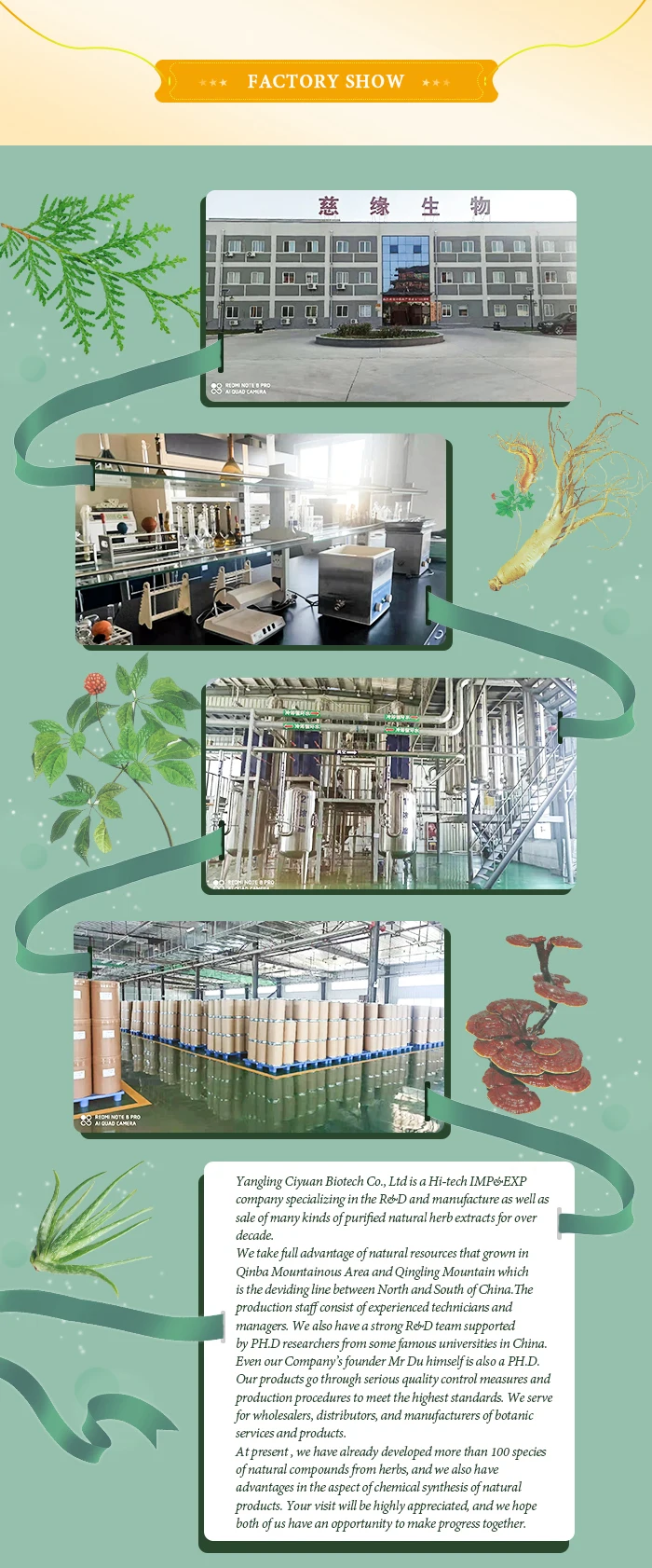 Chinese factory supply cumin Powder  with fast delivery