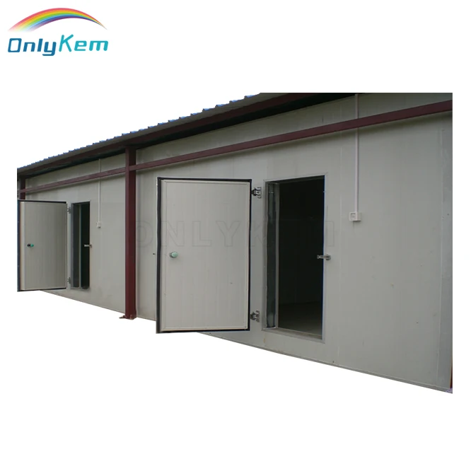 Замороженная холодильная камера для мяса и рыбы в гане