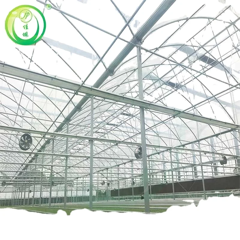 Jiapei Multi-span low cost agricultural tomato hydroponic Growing System vertical planting Cultivation flim blueberry greenhouse