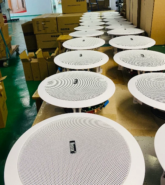 6 inch surround sound speaker office dsppa focal 60W watt smart led ceiling speaker