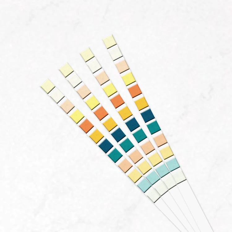 Supplier customized dog cat & human urinalysis 12 parameter urine test strip