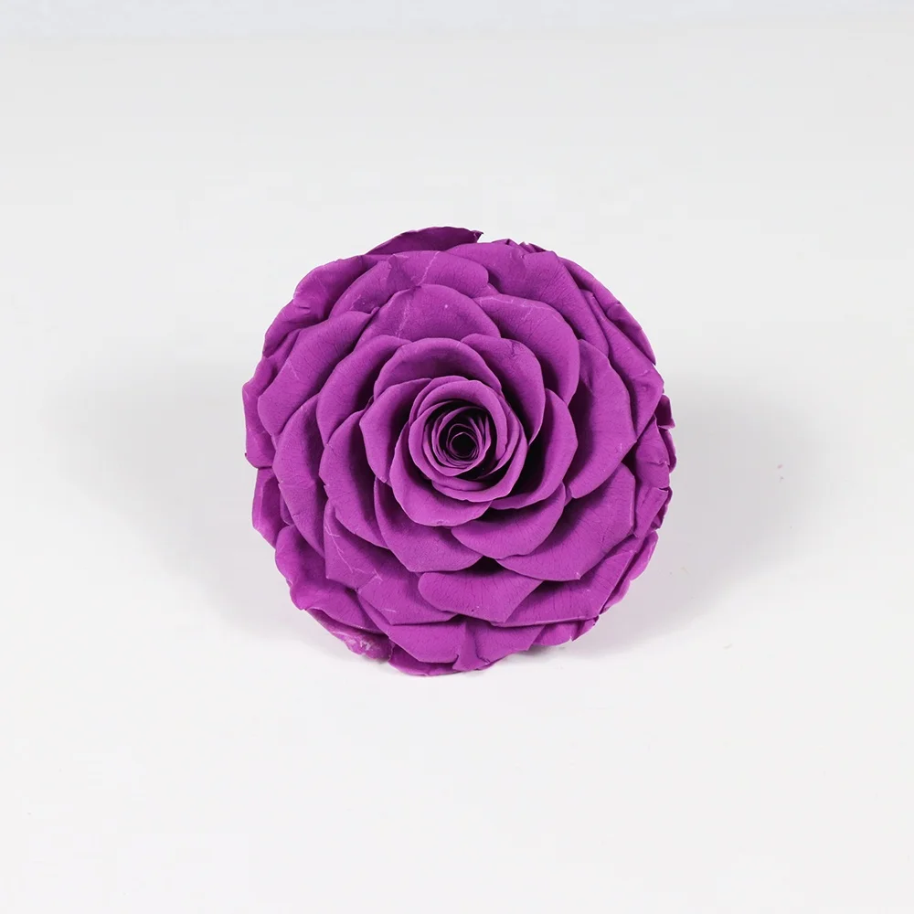 2021 New Style Big  9-10 cm Rose Real Fresh Romantic Beautiful  Preserved Rose Wholesale dried roses flowers