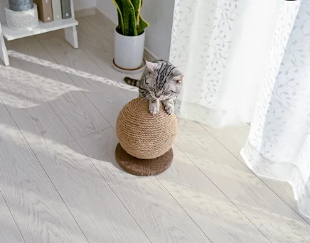 Cat Interior Scratching Ball Type