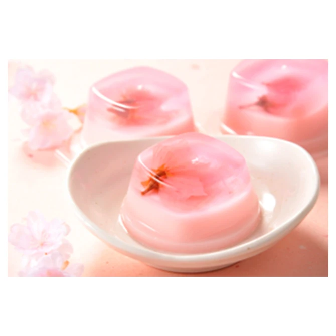 Hot sale delicious premium edible fruity jelly pudding for sale
