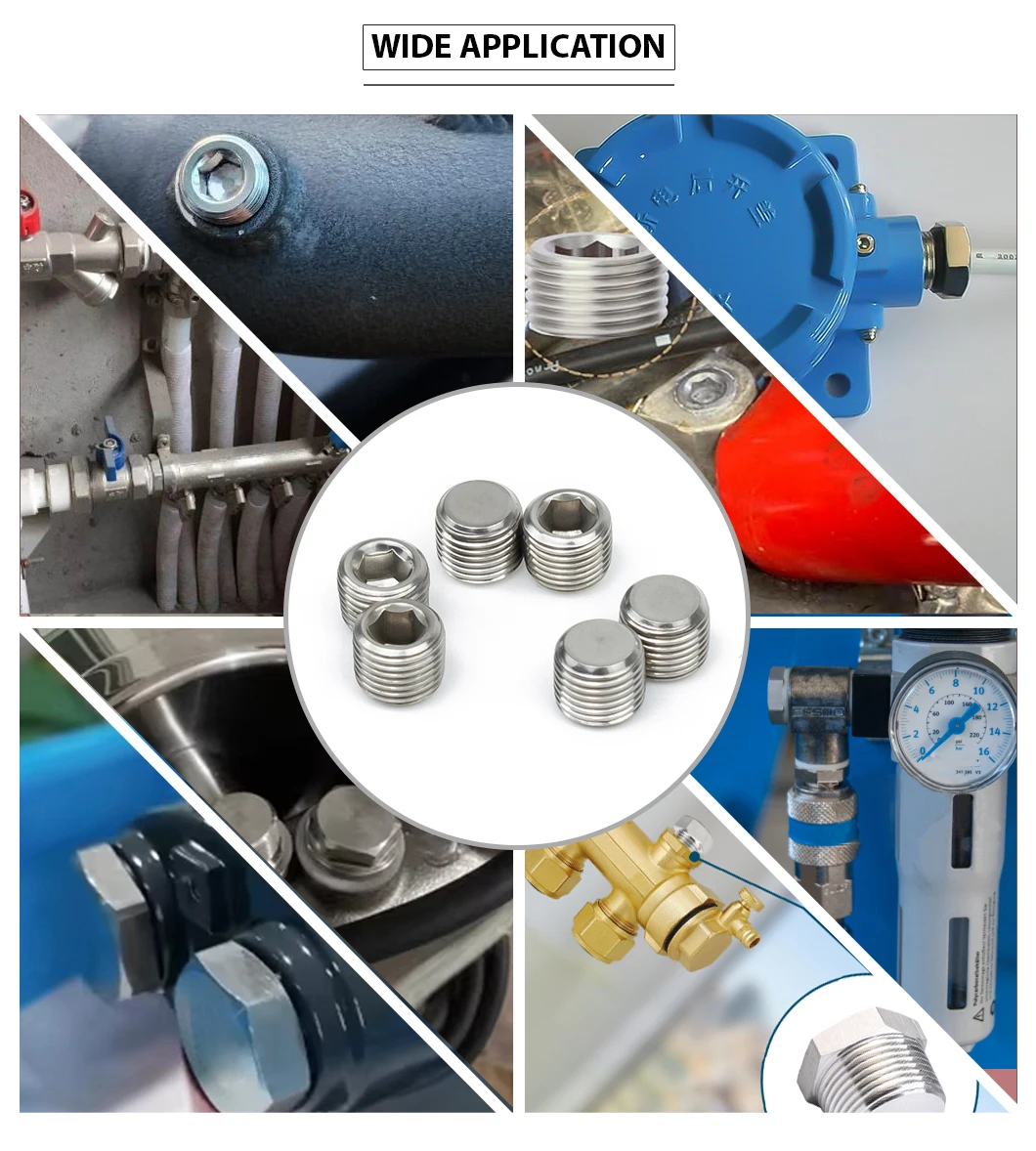 M20*1.5 DIN906 Stainless Steel Hexagon Socket Pipe Plugs Hex Thread Socket Pipe Plug for Sealing Pipe Port