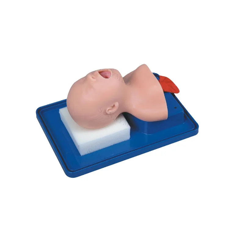 SY-N034 Series Neonate Intubation manikin Training Model Intubation