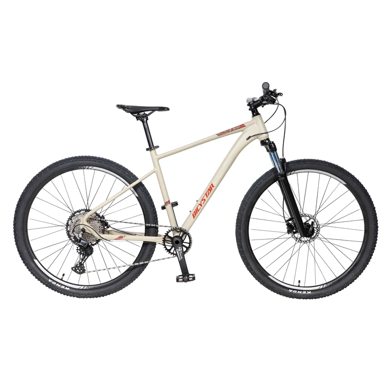 29 large size bicicleta de montana mtb downhill 30 speed mountain bike
