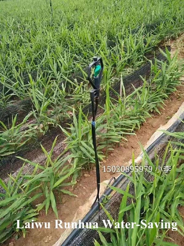 Plastic flat tube for farm drip irrigation, 4mm PE  Pipe for Garden Irrigation, Flexible pipe