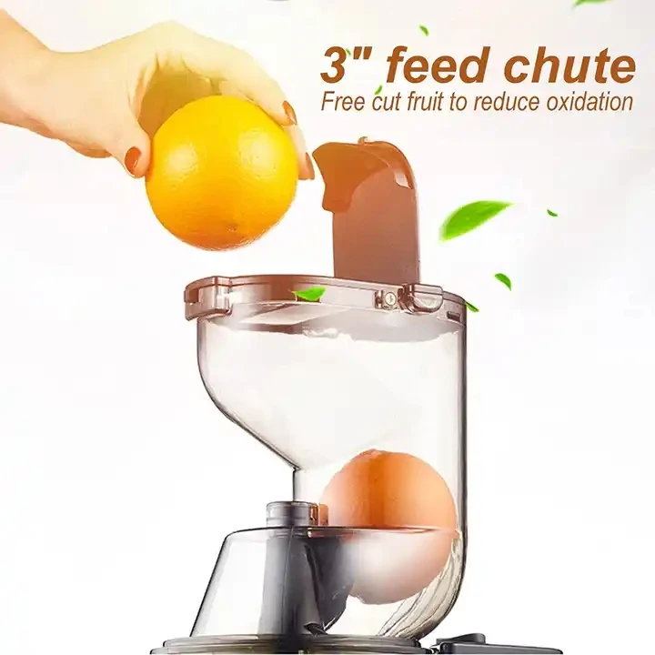 Orange Citrus Fruit Juicer Machine Commercial Electric Cold Press Extractor Machine Slow Juicer