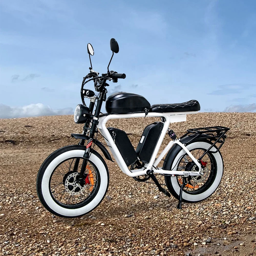 Dual Bafang  Motors Electric BIKE  48v 1000W  triple  lithium batteries fat tire electric bicycle wholesale bicicleta electrica
