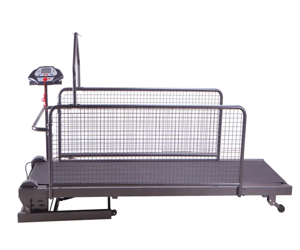 Large Dog Treadmill Pet Walking Machine Pet Treadmill For Big Dogs