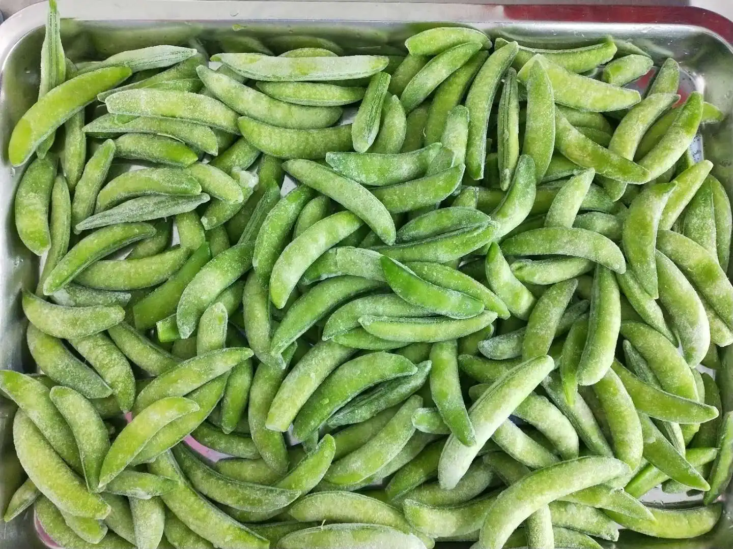 Frozen sugar snap pea IQF sugar snap peas