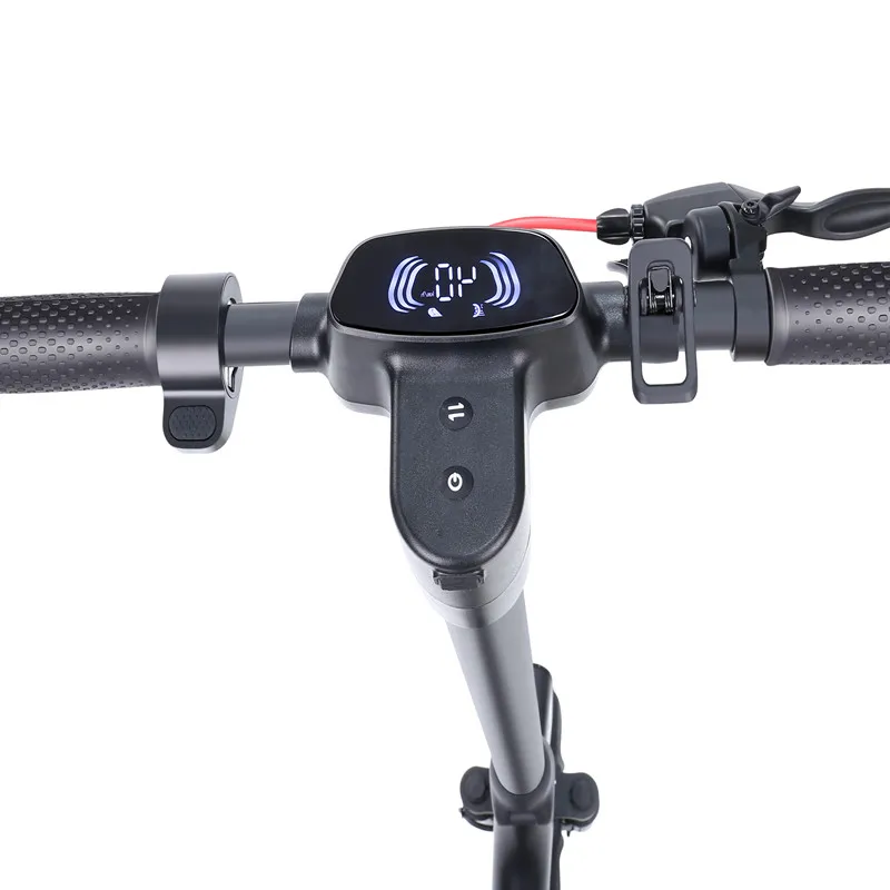 COASTA L9 Ecorider E7-2 2000W Electric Golf Scooter Trolly 4 50Cc 3 Wheel Bike Bicycle Gas Mobility Scooter For Old People