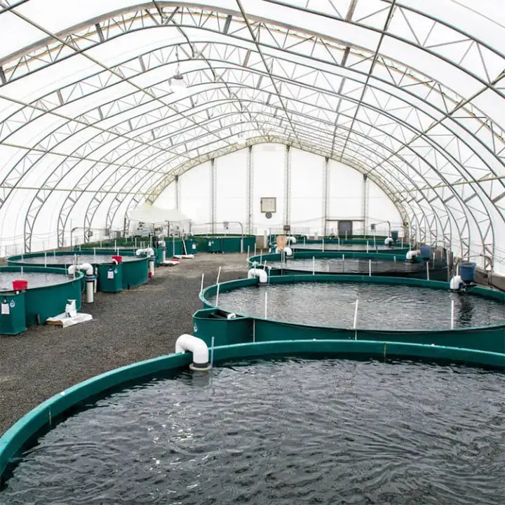 China Arches Film Single Span Tunnel Greenhouse Plastic Shed For Vegetables