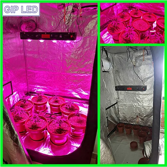 504w 600w cob led grow light full spectrum led grow panel for cactus and succulent